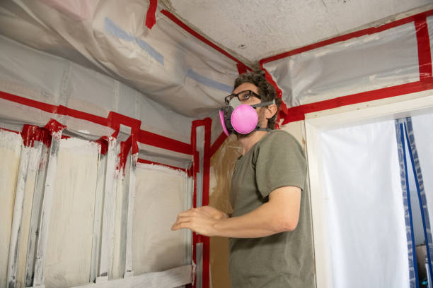 Best Basement Mold Removal  in Mount Carroll, IL