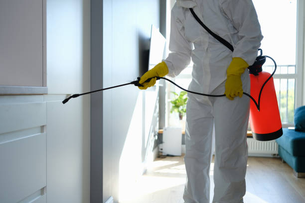 Best Environmental Consulting for Mold Prevention  in Mount Carroll, IL