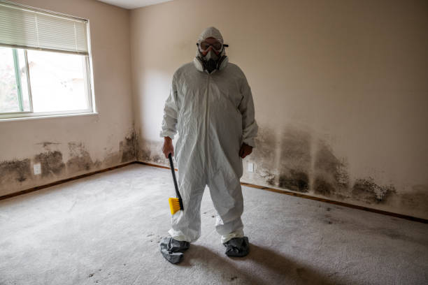 Mold Remediation for Vacation Homes in Mount Carroll, IL